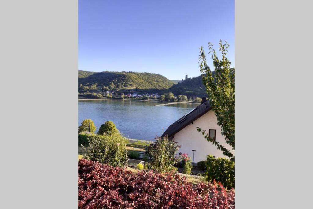Appartement Lorch Lorchhausen Mittelrheintal Weltkulturerbe à Lorch am Rhein Extérieur photo